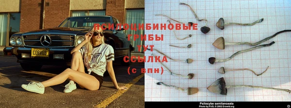 гашиш Алексин